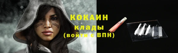 ПСИЛОЦИБИНОВЫЕ ГРИБЫ Армянск