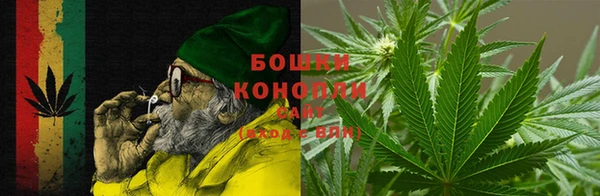 твердый Аркадак