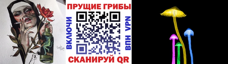 Псилоцибиновые грибы Magic Shrooms где найти Рассказово